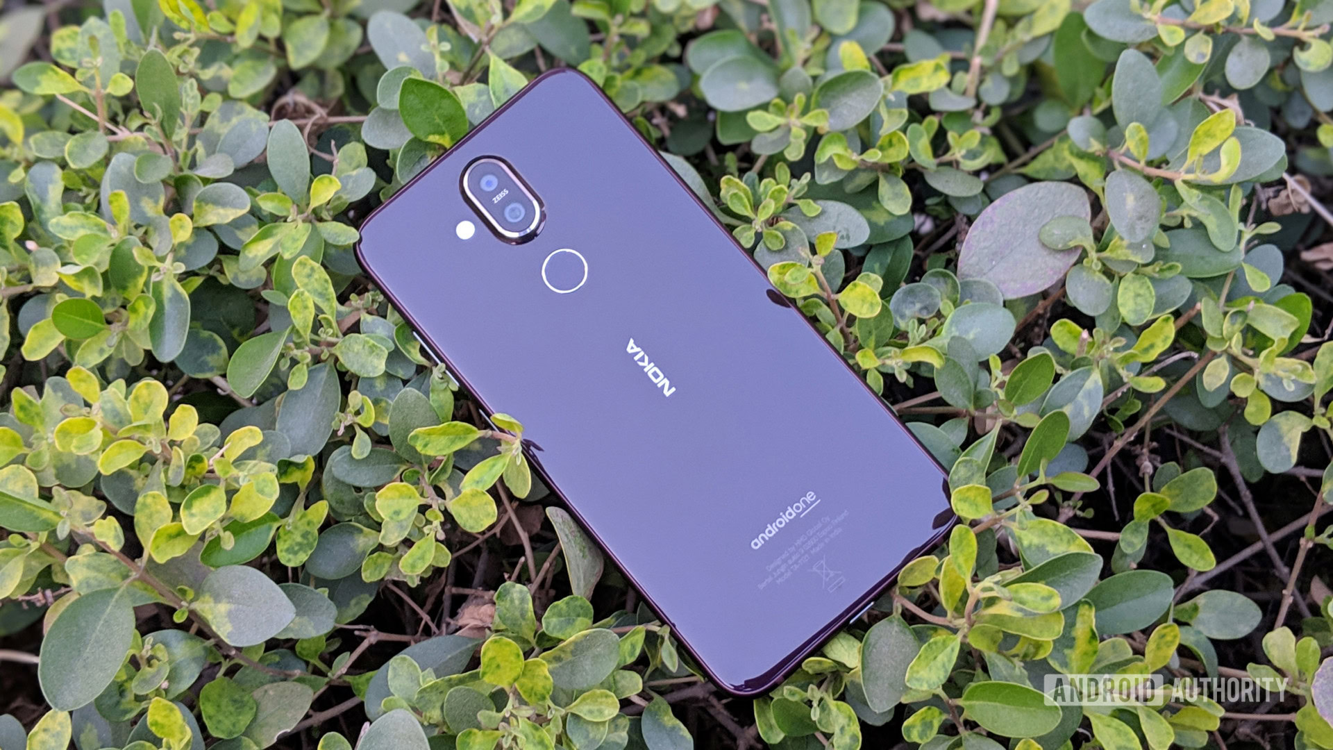 Nokia 8.1 foliage Nokia 8.1