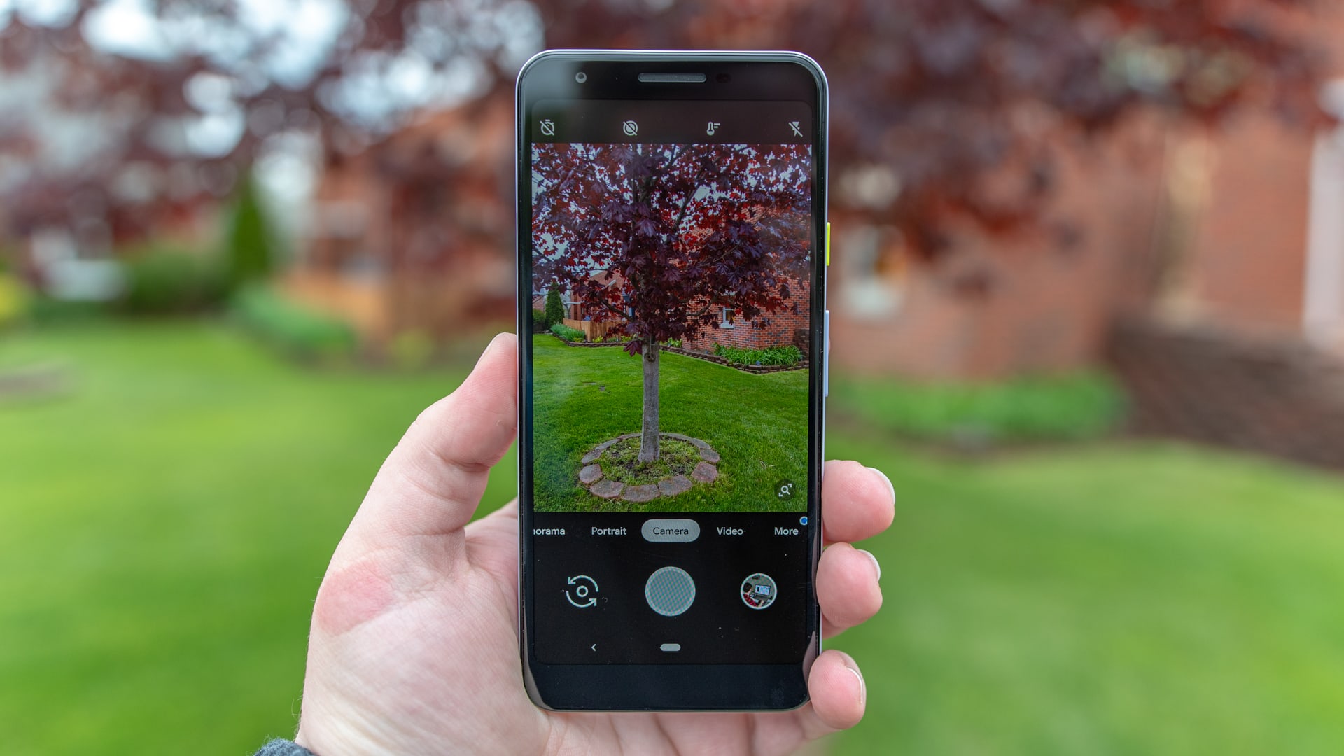 Google Pixel 3a Purple-ish Camera App Google Pixel 3a Purple-ish Camera App