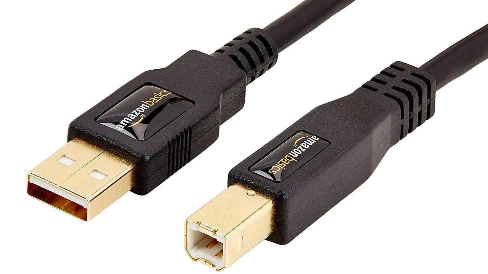 Amazon Basics Type B