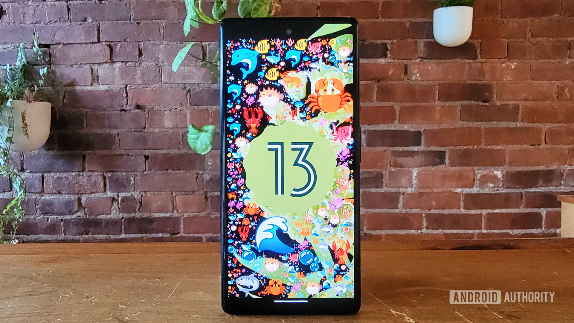 Android 13 Easter Egg Android 13 Easter Egg