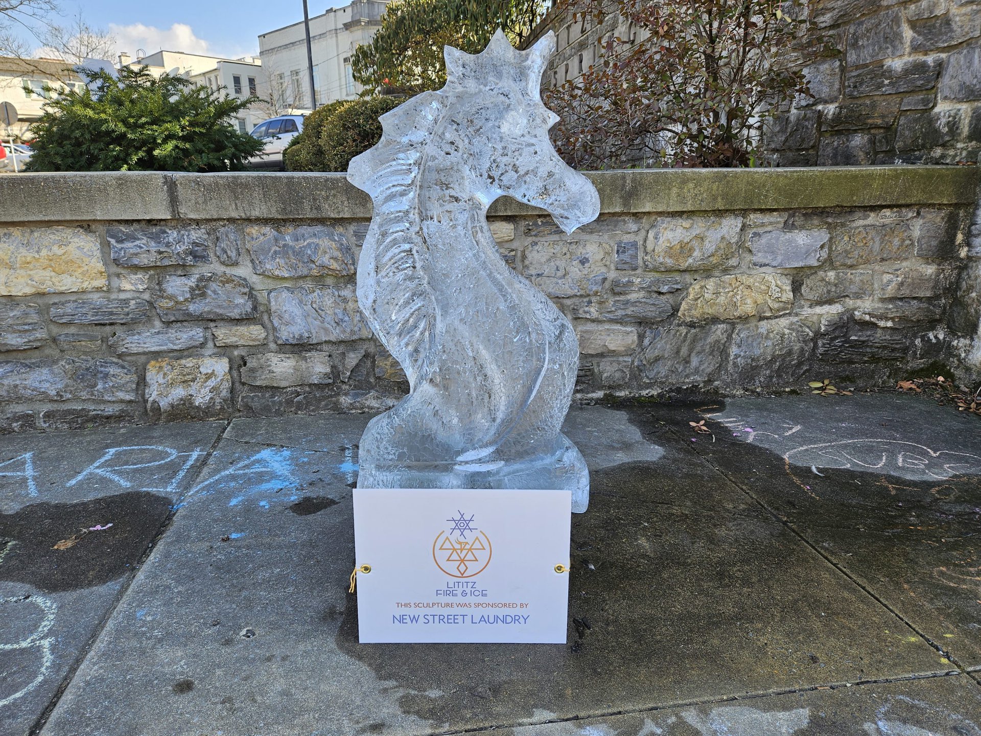 samsung galaxy s23 ice sculpture standard