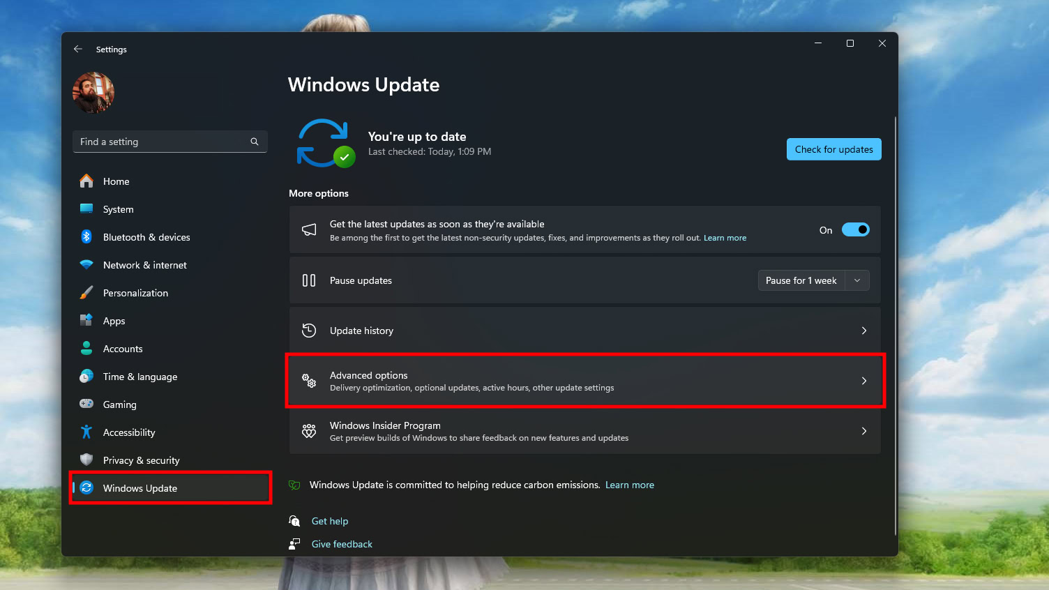 Reset Windows 11 (1)