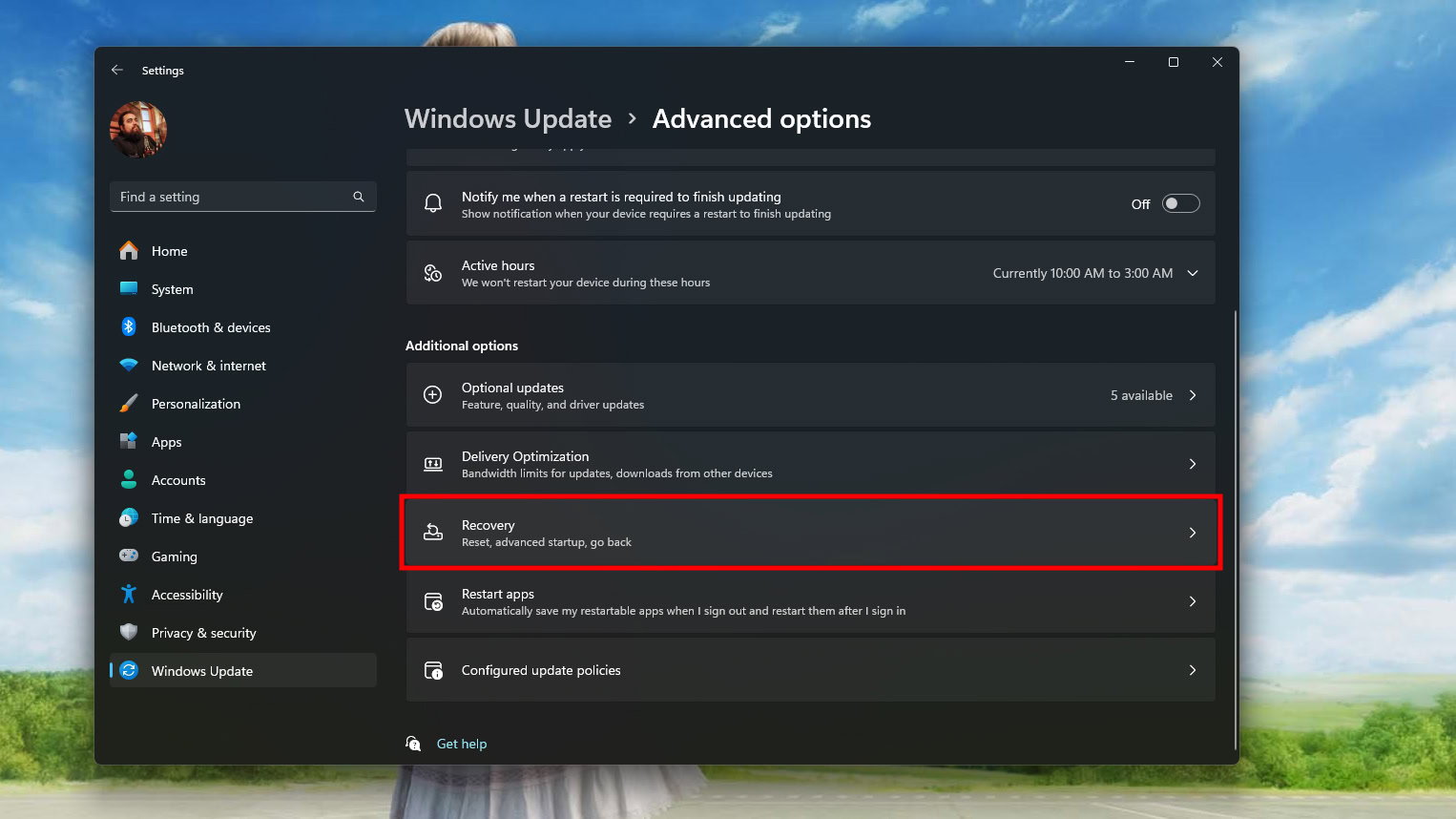 Reset Windows 11 (2)