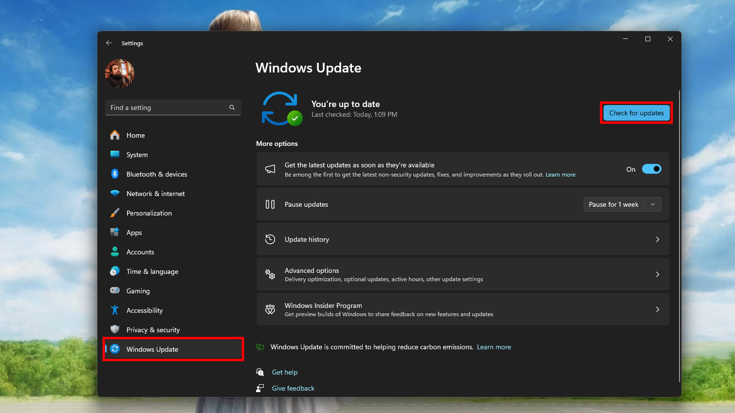 Update Windows 11 Update Windows 11