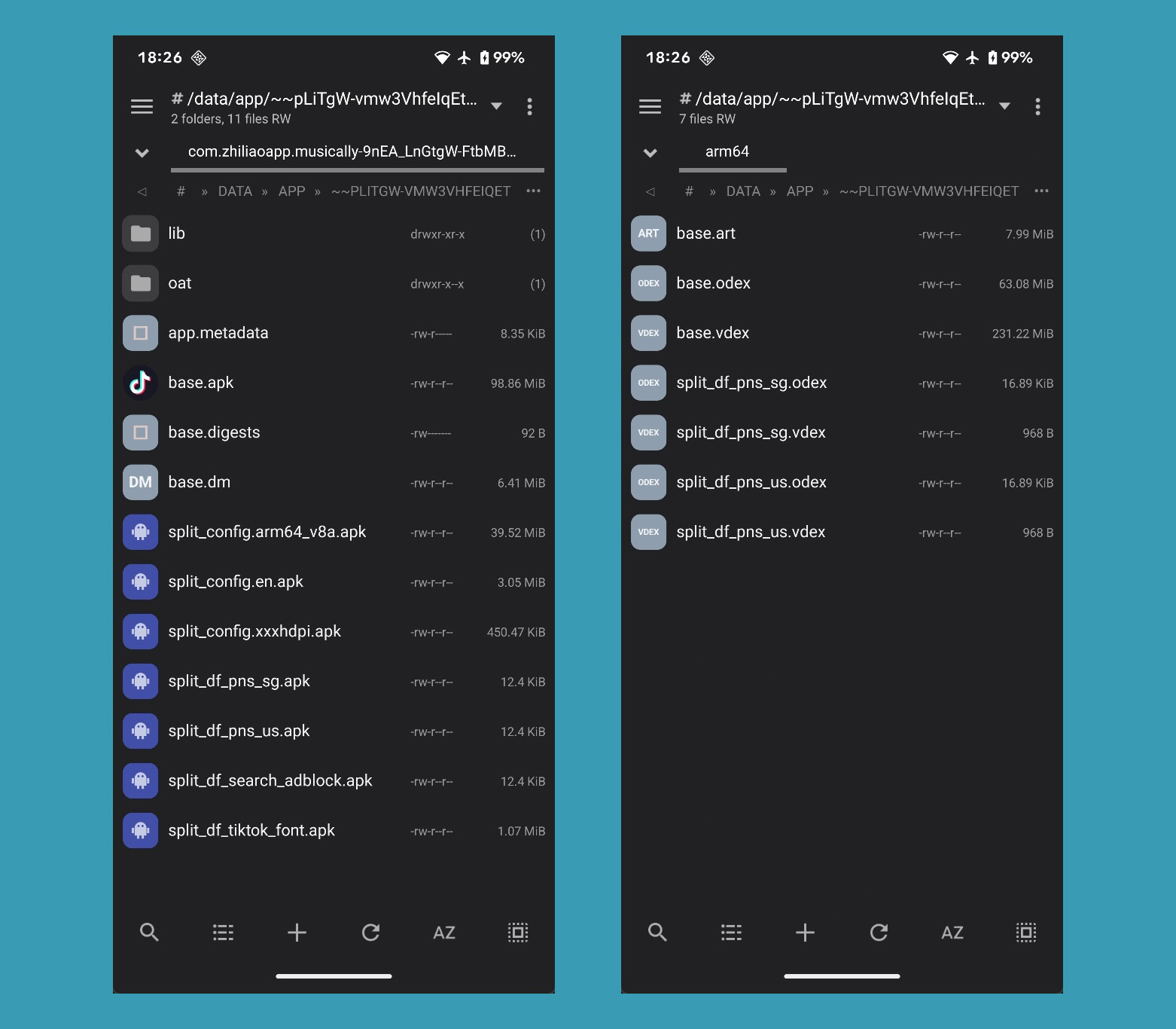 TikTok app install directory with artifacts